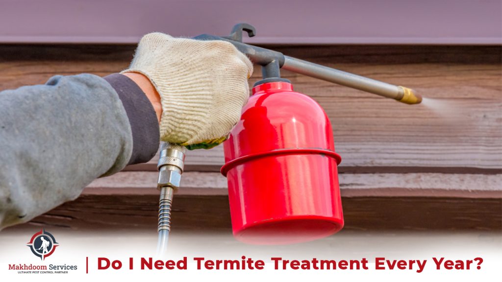 Do I Need Termite Treatment Every Year?