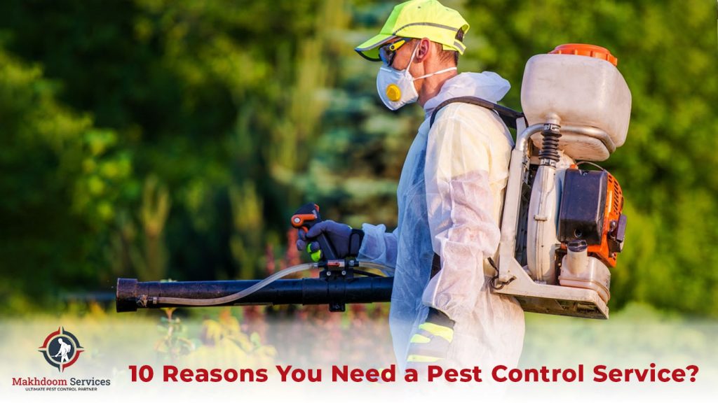 10 Reasons You Need a Pest Control Service